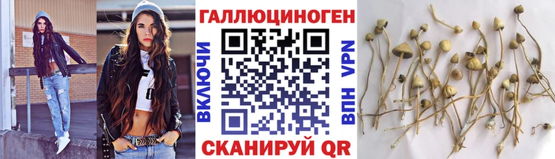 цена   Нефтекамск  Галлюциногенные грибы прущие грибы 